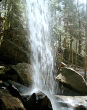 Beautiful Bluff Park